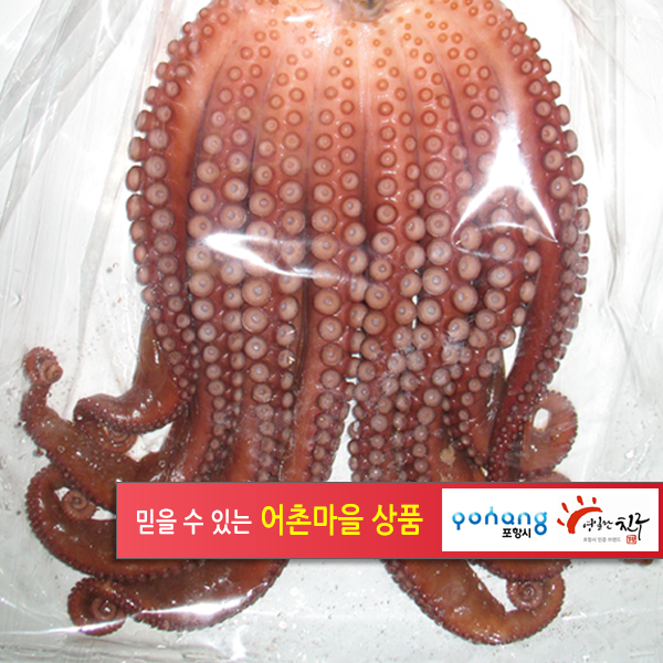 호미곶.참/돌문어.완전손질.삶은문어1850g(활어일 때2658g)(국내산)<br>삶은 후 급냉 냉동 상태로 발송