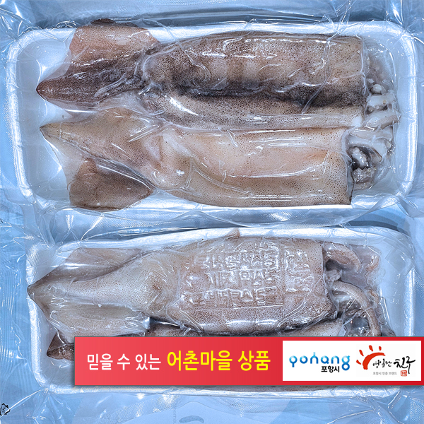 손질 생물 통오징어 2마리 270g 10팩